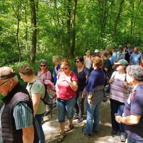 Wandern in den Mai - Vom Steinbruch über den Nonnengrund nach Hornburg und zurück